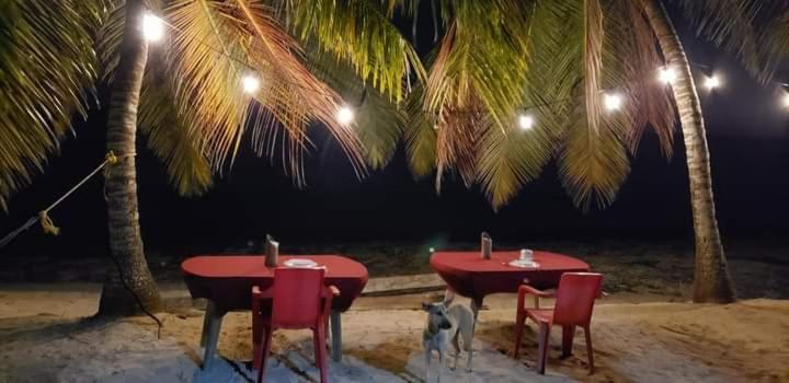 Casa Rural El Paraiso De Saona Mano Juan Buitenkant foto